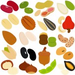 Vector Icons of Beans, Nuts, Seeds