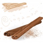 word-spices-cinnamon-vector_GJaaDgDu