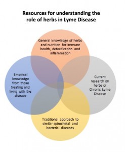 evidence-lyme-graphic